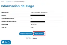 Información pago del anticipo